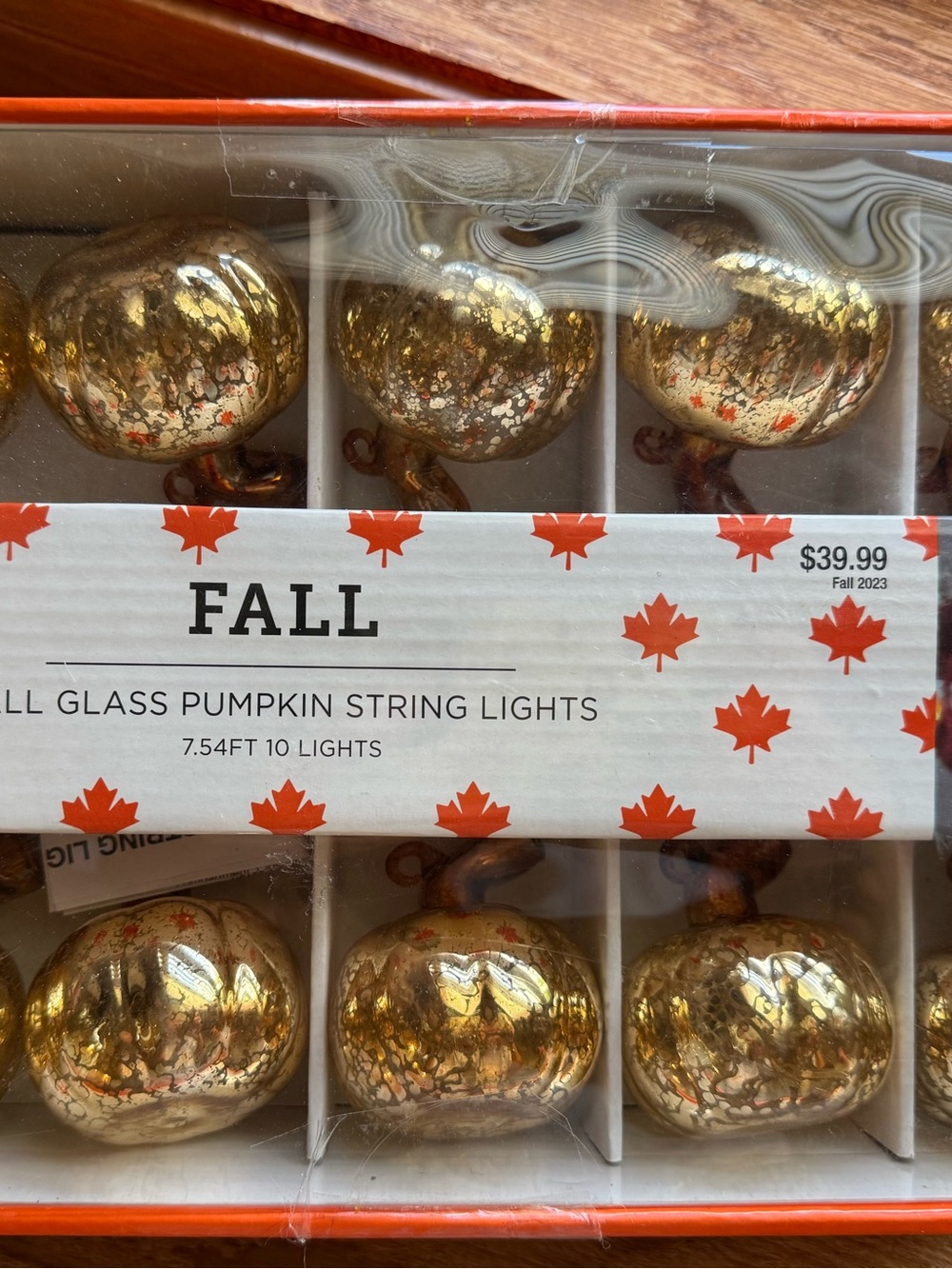 Fall Glass Pumpkin Mercury String Lights  Indoor Battery On/Off